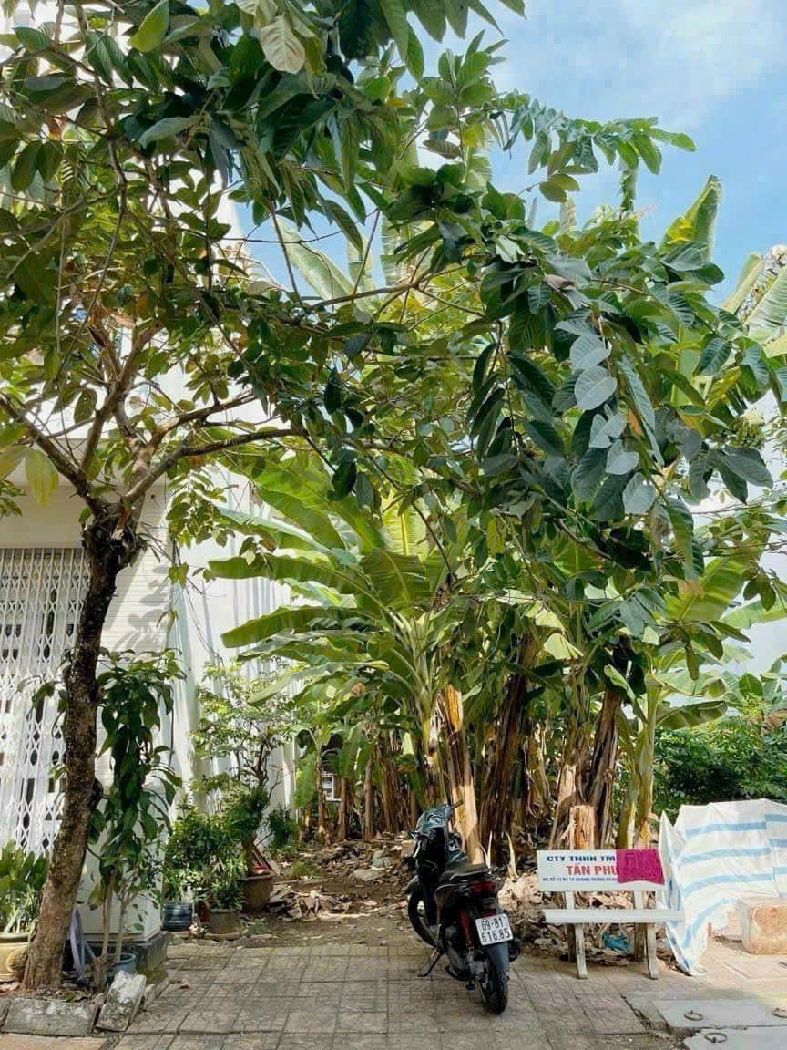 Bán nền đường B2 KDC Hưng Phú - Cần Thơ